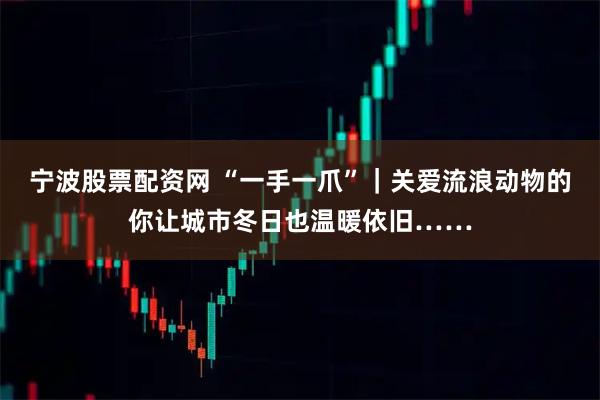 宁波股票配资网 “一手一爪”｜关爱流浪动物的你让城市冬日也温暖依旧……