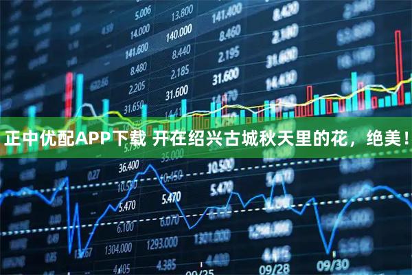 正中优配APP下载 开在绍兴古城秋天里的花，绝美！