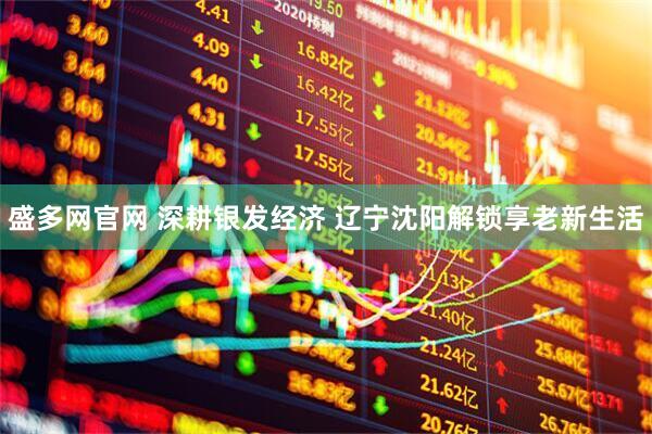 盛多网官网 深耕银发经济 辽宁沈阳解锁享老新生活